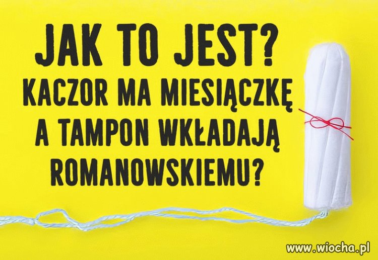 Pisowska symbioza