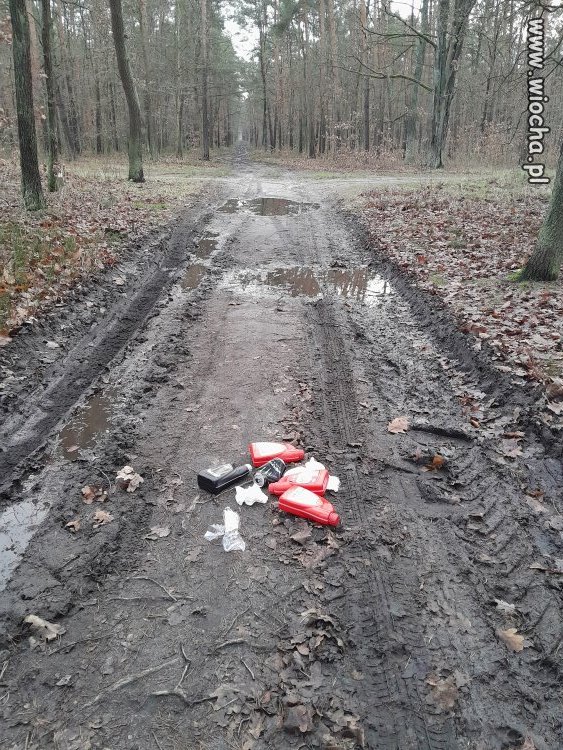 Ostatnio dość mocno wiało...