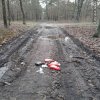 Ostatnio dość mocno wiało...