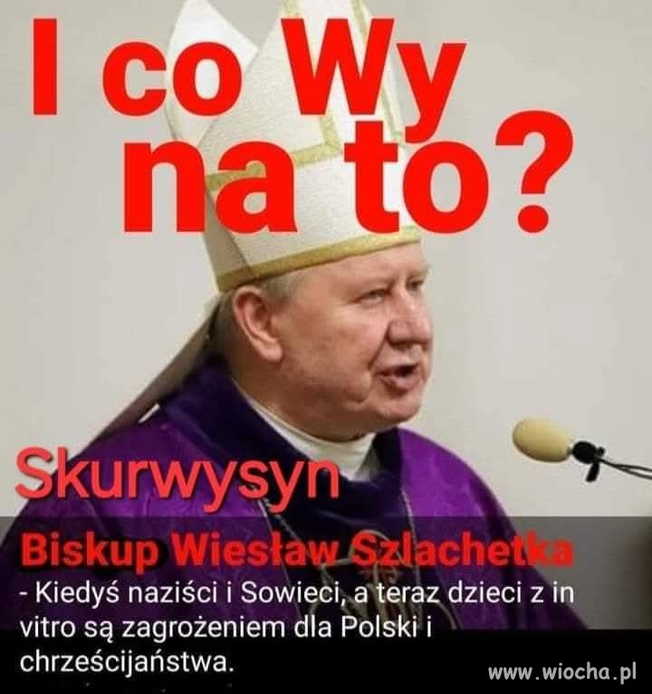 Czarna zaraza 
