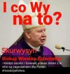Czarna zaraza 