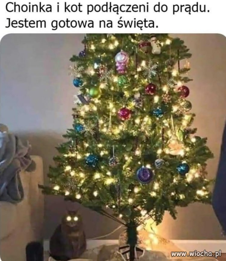 Sprzątaczka donosi 