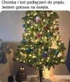 Sprzątaczka donosi 