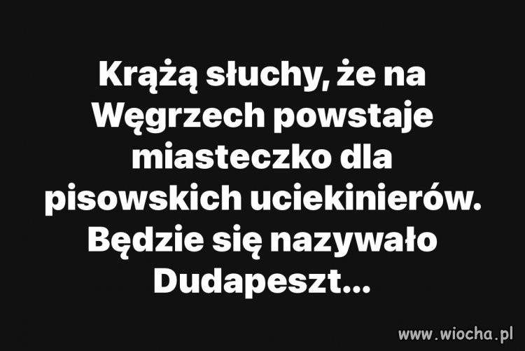 W każdej plotce,
