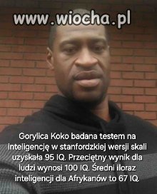 Kilka wymownych ciekawostek