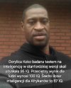 Kilka wymownych ciekawostek