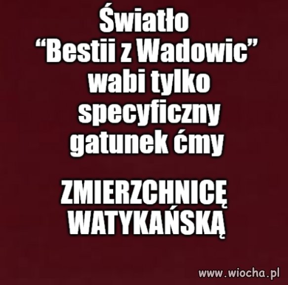 Kaprawym okiem ateisty patrząc ...