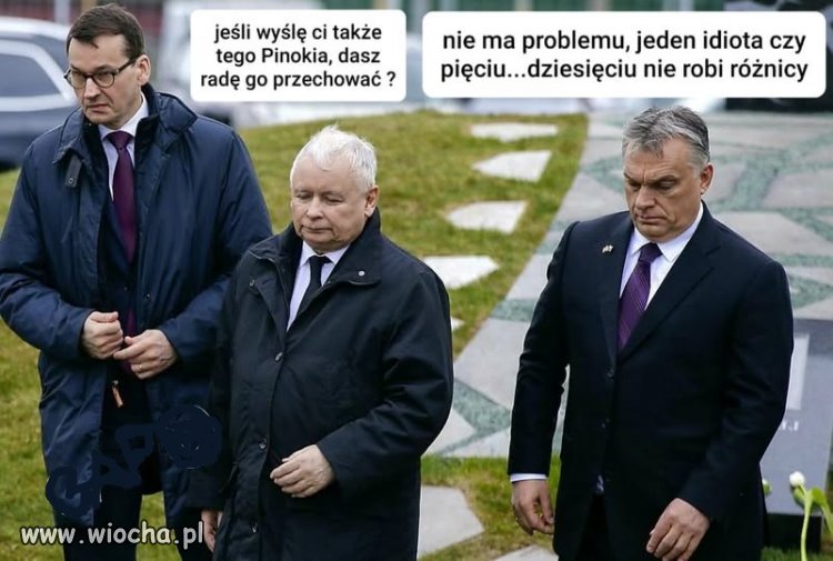 Wyślij wszystkich i też się  zabierz z nimi