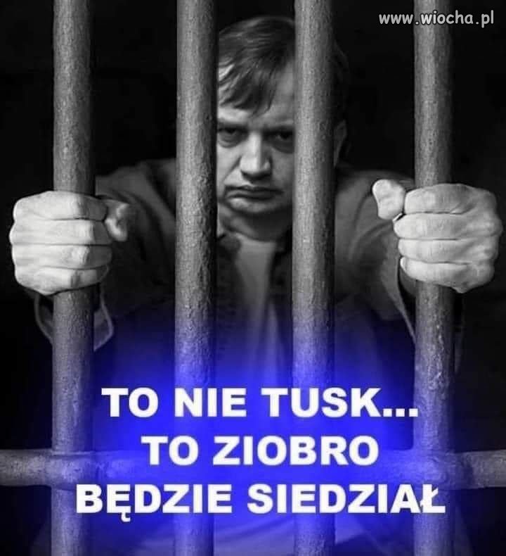 To oczywiste dla każdego myślącego Polaka !