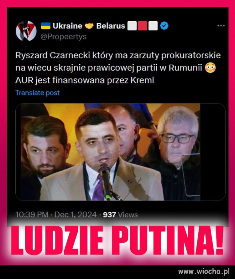 Co tam robił Rysio wędrowniczek? 