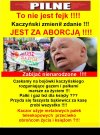 W odwracaniu kota ogonem, zawsze był mistrzem !