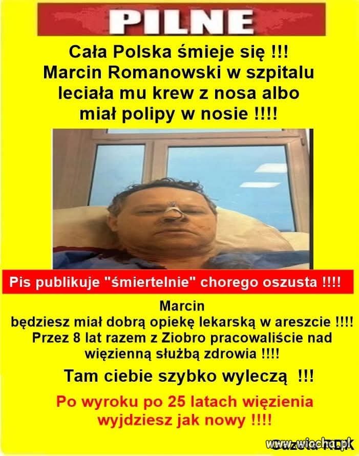 No bez