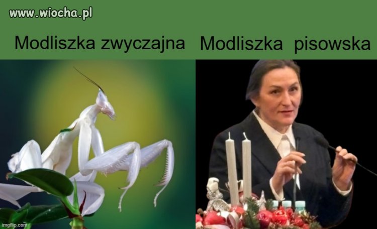 Ludzie zawsze naśladują przyrodę. 