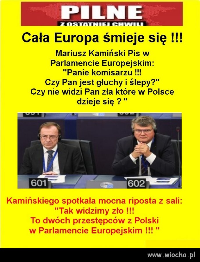 Europo, przepraszamy ale damy radę 