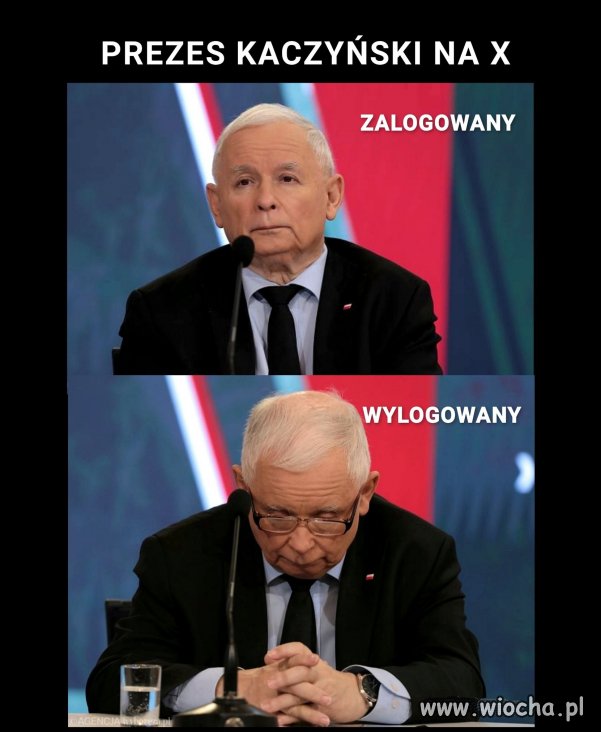 Zalogowany