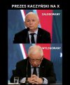 Zalogowany