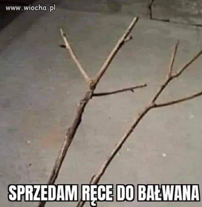 Kikuty do przeszczepu