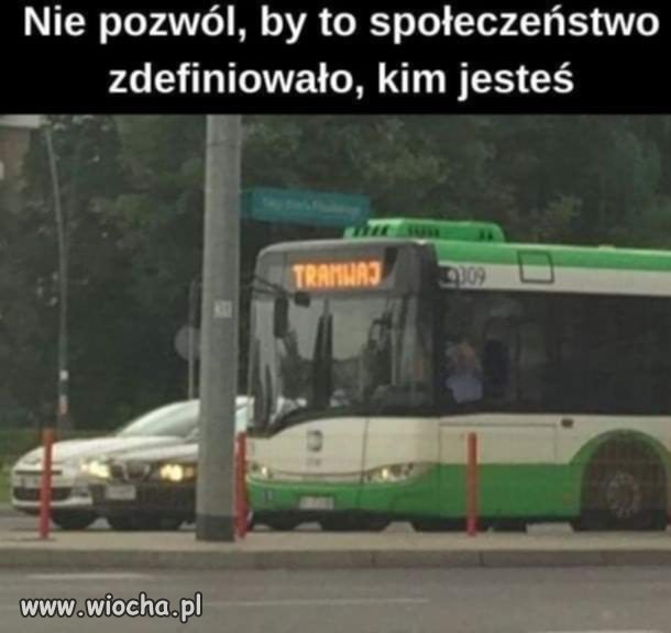 Np. Nawrocki czuje się prezydentem