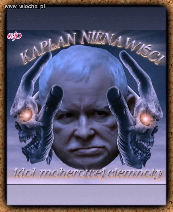 Tak go widzę