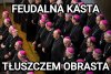 Pasożyty groźne dla zdrowia: roseo-virens pinguis parasitus ventres 