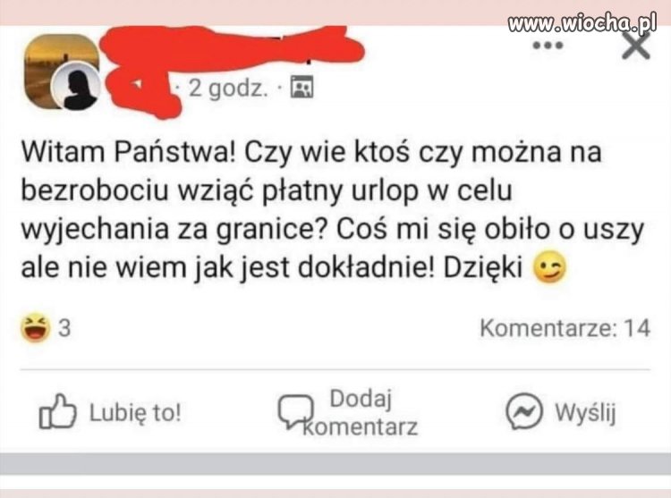 Płatny urlop 