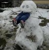 Nigdy więcej nie 
