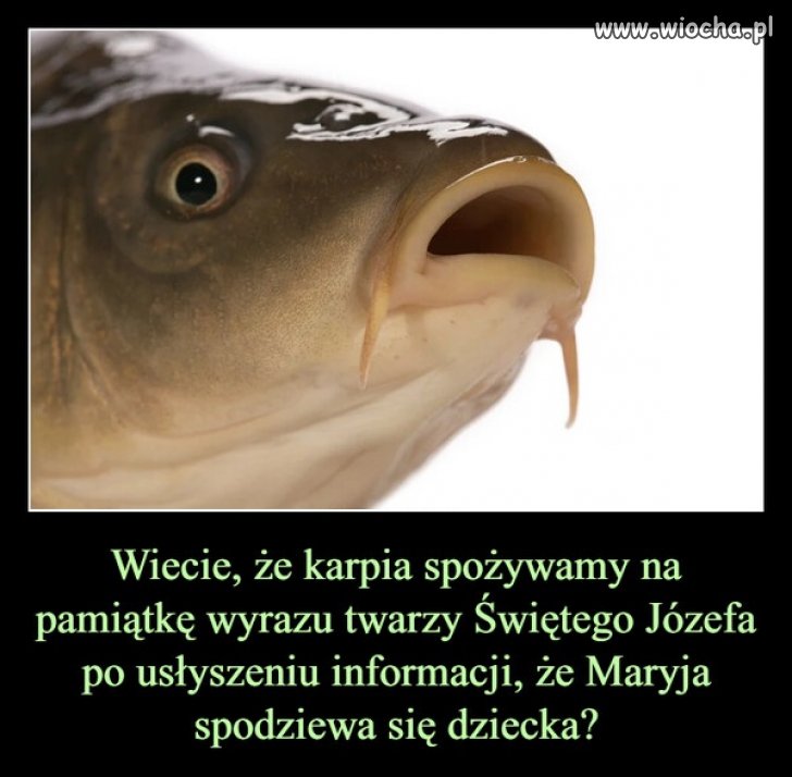 Czy wiedzieliście, że ... ?