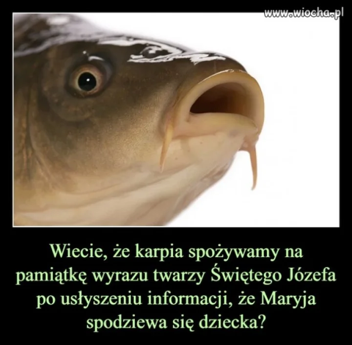 Czy wiedzieliście, że ... ?