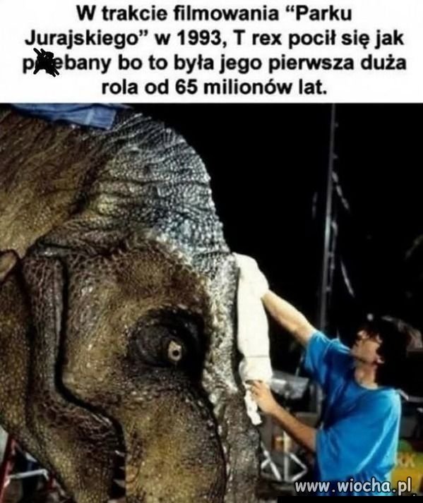 Taka ciekawostka.