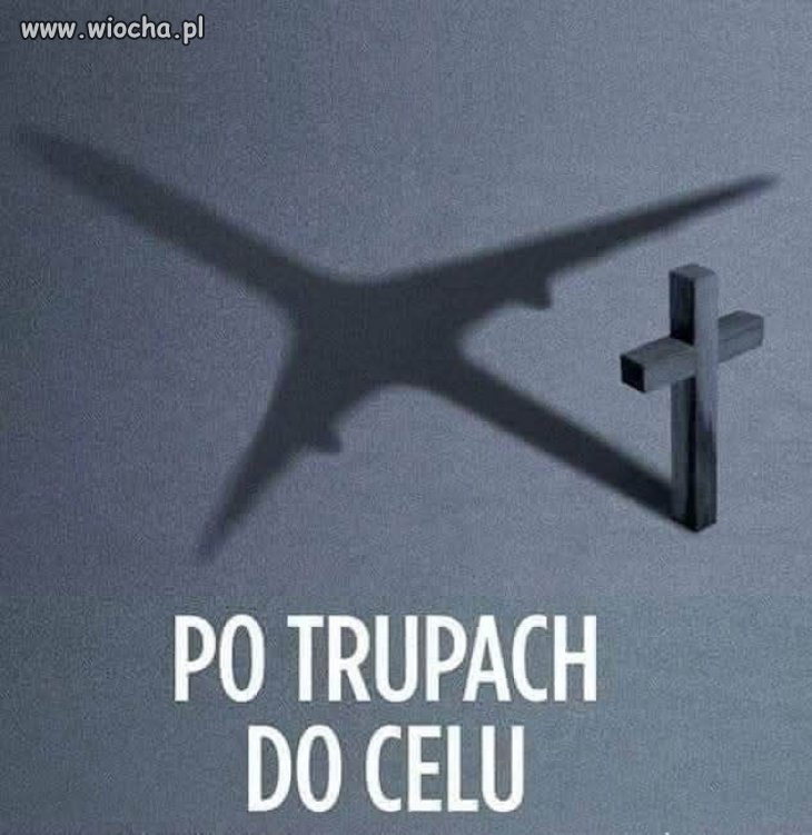 Polityka pis.
