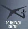 Polityka pis.