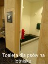 Nie pomyśleli o pisuarach dla PiS.