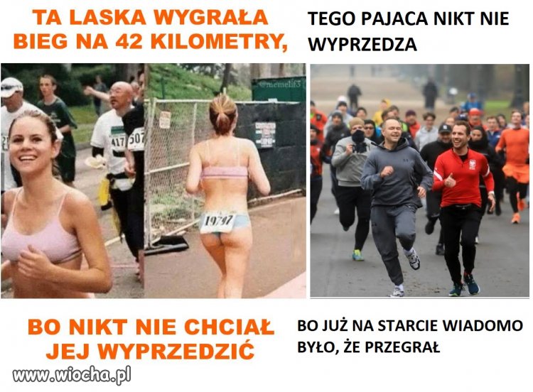 Zająca wypuścili...a wystawią zbawcę Morawieckiego