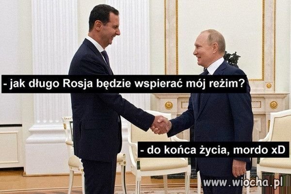 Witaj w domu, mordeczko