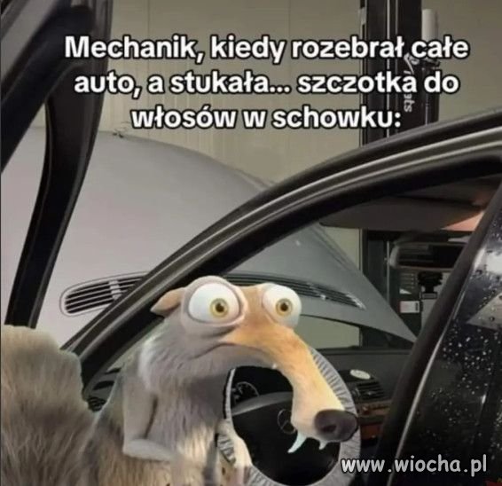 Polscy mechanicy