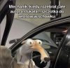 Polscy mechanicy