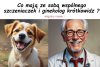 Na wesoło i bez polityki 