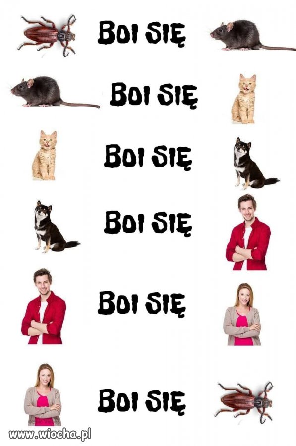 System sie zamyka