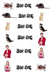 System sie zamyka