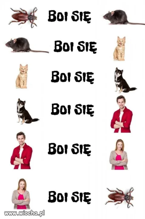 System sie zamyka