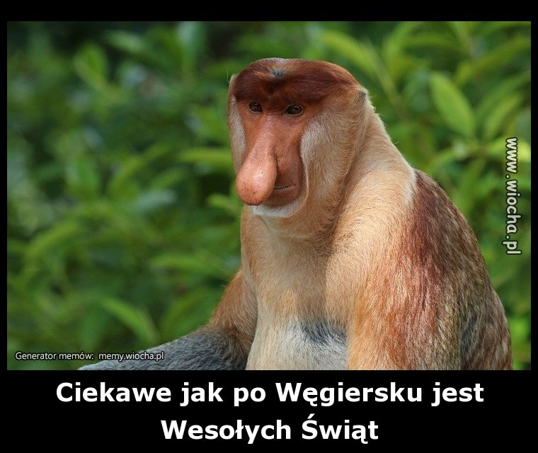 Ciekawe jak po Węgiersku jest 
Wesołych Świąt