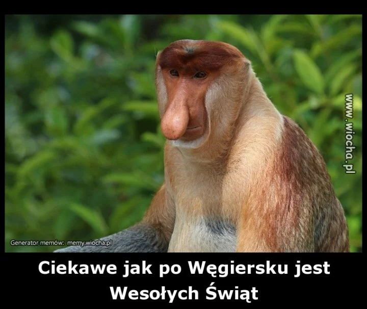 Ciekawe jak po Węgiersku jest 
Wesołych Świąt