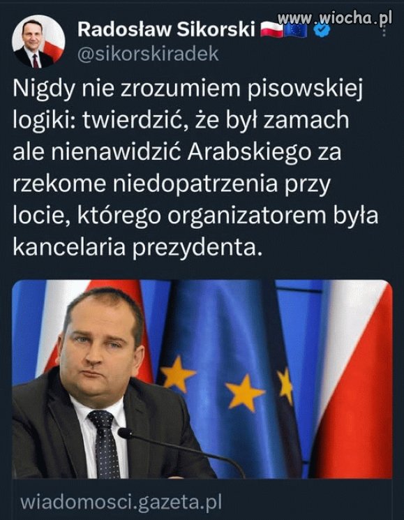 Pisowska logika