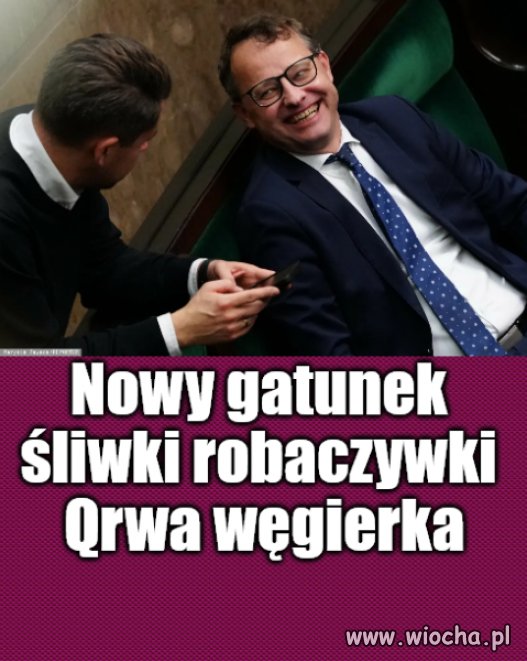 Kaprawym okiem ateisty patrząc ...