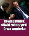 Kaprawym okiem ateisty patrząc ...