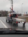 Polak potrafi