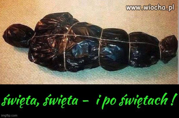 Choinki można 