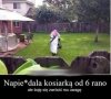 Mam sąsiada