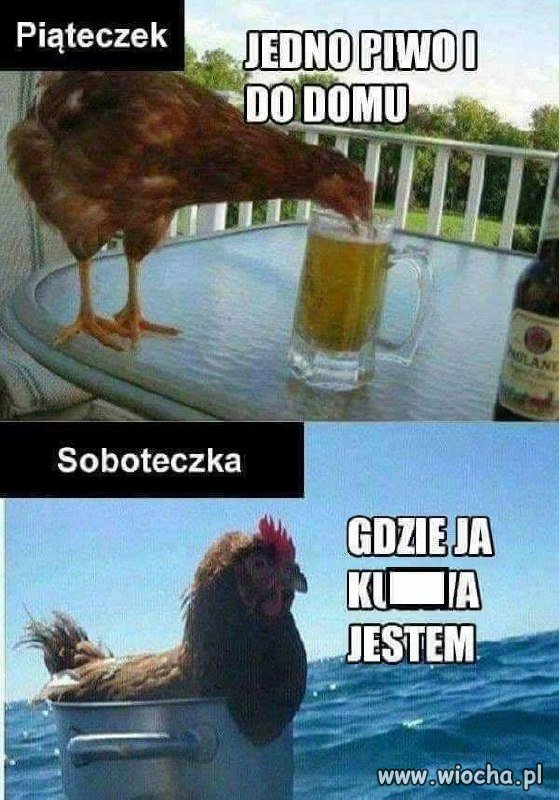 Impreza się udała 