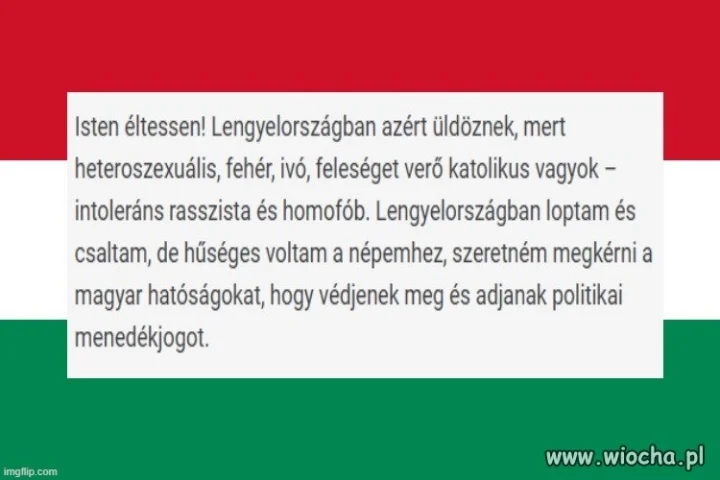 PiSowcu! Działaczu SP !